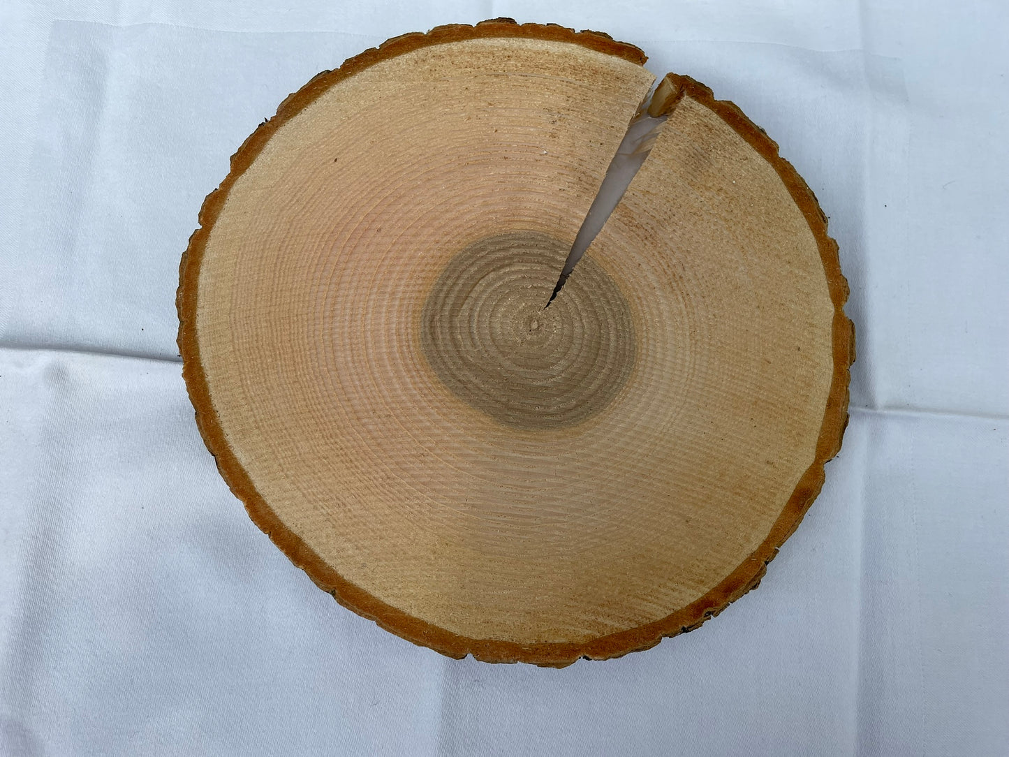 Baumscheibe
