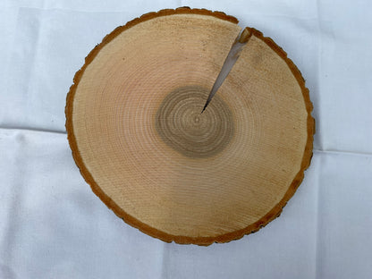 Baumscheibe